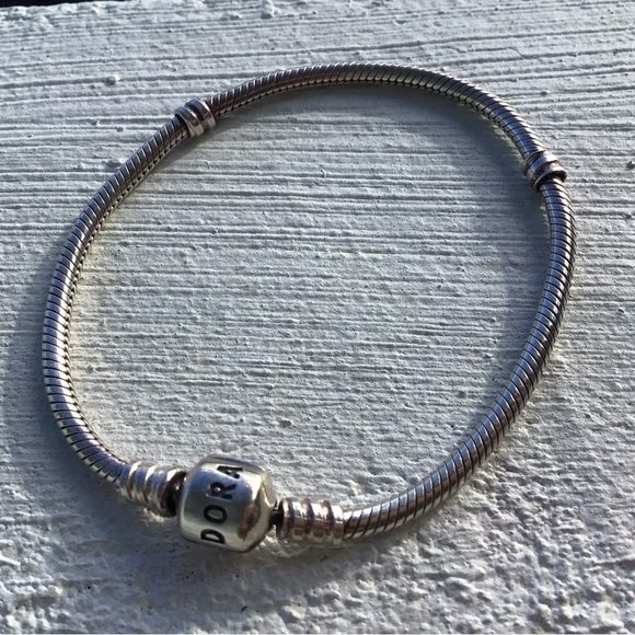 Pandora Moments Snakechain Sterling Silver Starter Bracelet - Picture 3 of 5